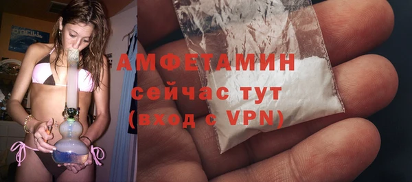 молекула духа Костерёво