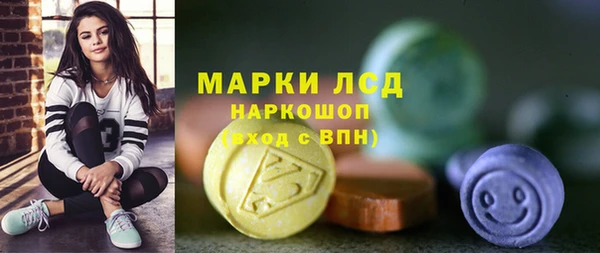 шишки Бикин