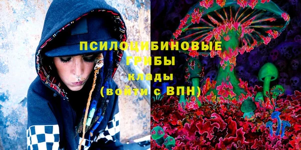 мет Корсаков