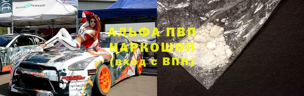 гидра Козловка