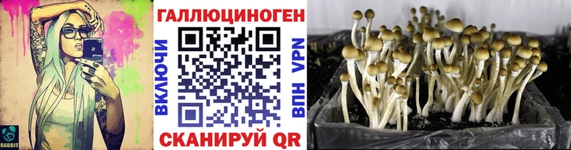 Псилоцибиновые грибы ЛСД  Котельнич 